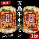【毎月定期便】幻の五島牛ホルモン(味付き)500g×2 計1kg全3回