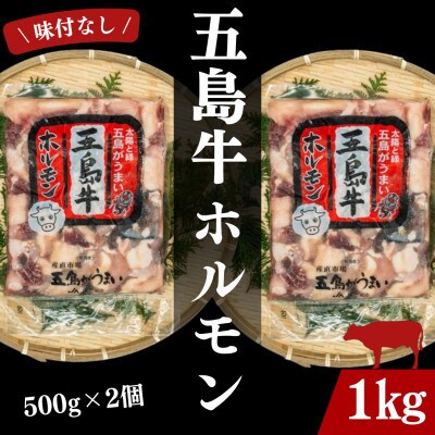 【毎月定期便】幻の五島牛ホルモン(味付なし)500g×2 計1kg全6回