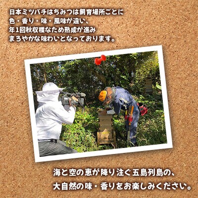 【毎月定期便】はちみつ「蒼の雫」220ml　1本入り～蒼い森の工房～全12回