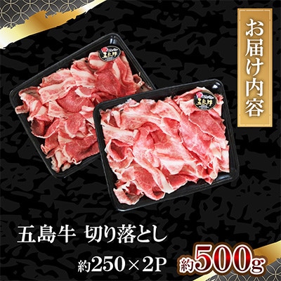 五島牛切り落とし約500g(約250g×2P)