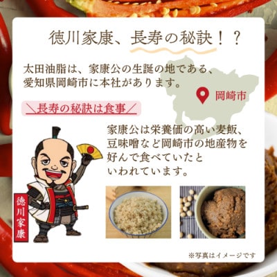 おかざきラー油100g ×12個