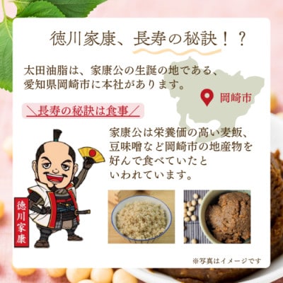 おかざきおかず味噌100g×12個