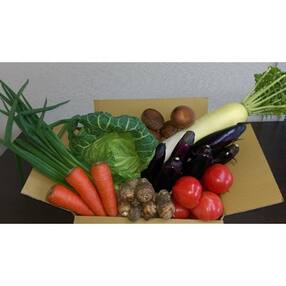 愛知県岡崎市 野菜 人気特産品おすすめランキング 週間 ふるさと納税サイト さとふる