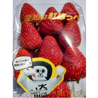 とれたて極甘大粒　岡崎産　紅ほっぺ　6パックセット