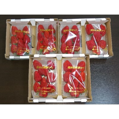 とれたて極甘大粒　岡崎産　紅ほっぺ　6パックセット