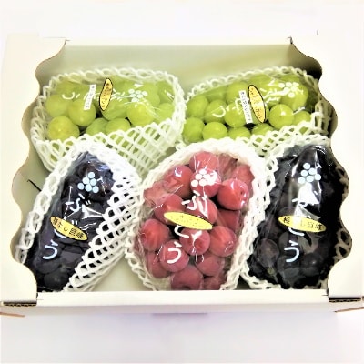 生産者直送!　シャインマスカット2房と大粒他品種ぶどうの詰め合わせ　約2.1kg　【種無し】