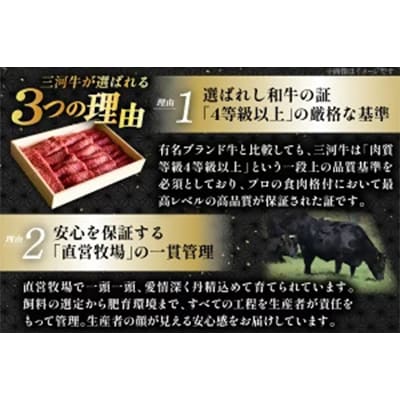 三河牛(黒毛和種)A5等級モモすき焼き用600g　直営巴山牧場産