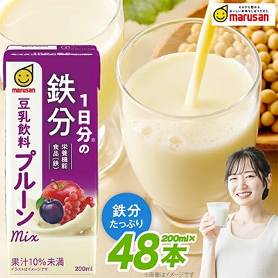 1日分の鉄分　豆乳飲料　プルーンmix　200ml　24本セット×2ケース