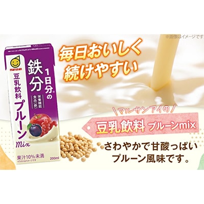 1日分の鉄分　豆乳飲料　プルーンmix　200ml　24本セット×2ケース