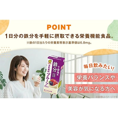 1日分の鉄分　豆乳飲料　プルーンmix　200ml　24本セット×2ケース
