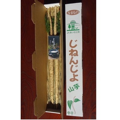 岡崎産自然薯「夢とろろ」約950g～1kg