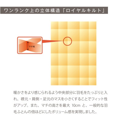 究極に軽く、蒸れない羽毛ふとん (シングルロングサイズ)(PSM)1
