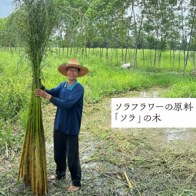 ソラフラワー手作り体験チケット1枚