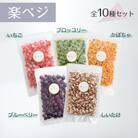 冷凍フルーツと野菜を手軽に!ダイスフルーツと野菜の楽ベジ10種セット
