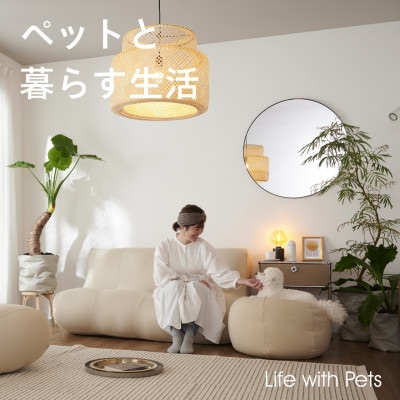 【ハナロロ】愛犬ぬいぐるみ フレブル M(パイド)