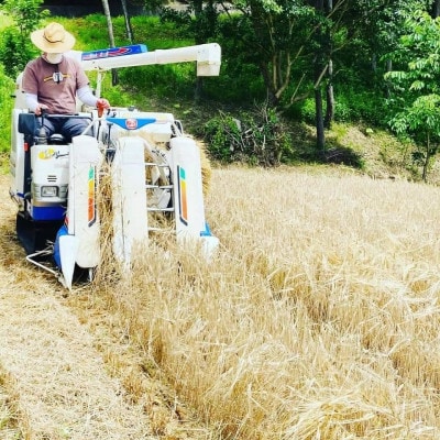岡崎クラフトビール4本セット