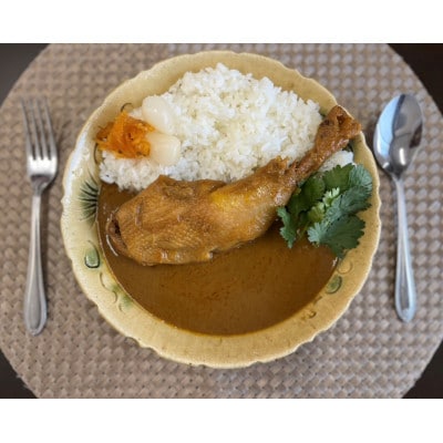 【六ツ美のあの肉カレー&萬歳】国産おやどり骨付きモモ1本入りカレー&復古米/大正浪漫セット(辛口)