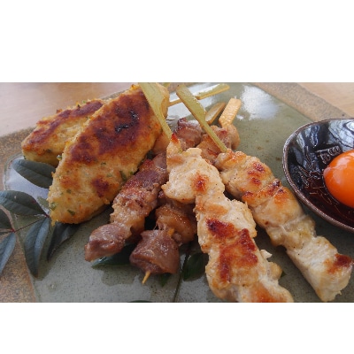 岡崎おうはん地鶏　焼き鳥セット　ギフトやおもてなし、バーベキューにおすすめ