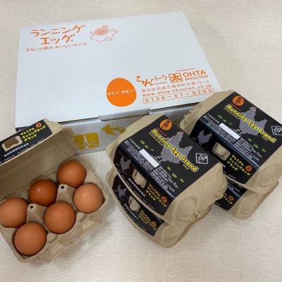 愛知県岡崎産・岡崎おうはん平飼い卵【30個入】
