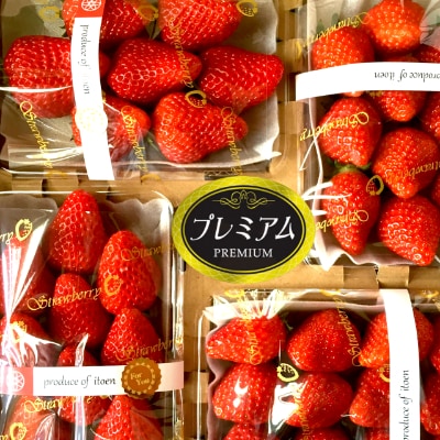いちご【年末年始発送】縁起初物!紅ほっぺ4パック【岡崎市 苺の伊藤園】