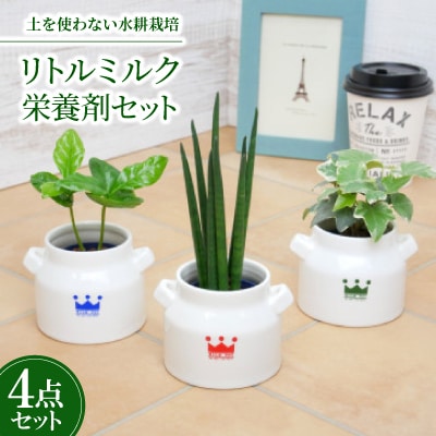 リトルミルク3個&栄養剤セット【オススメの観葉植物でお届け】