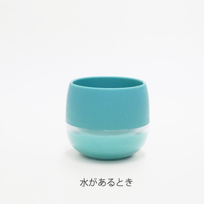 キュートビビスモーキー3個セット【A】【オススメの観葉植物でお届け】
