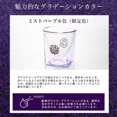RayES/レイエスのダブルウォールグラス RDS-004ieyasumpl 200ml イエヤス