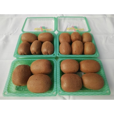 愛知県岡崎市産キウイフルーツ(ヘイワード)約2kg(17~18玉入)
