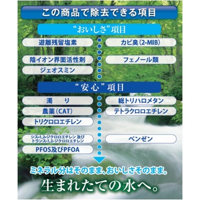 家庭用浄水器　「トレビーノ」交換用カートリッジ　スーパーシリーズ(12項目除去) STC.T2J