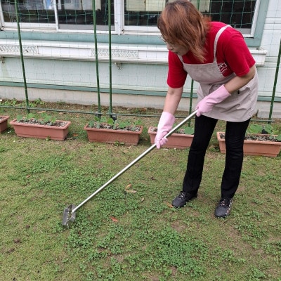 雑草カクワ　ロング(雑草取り)