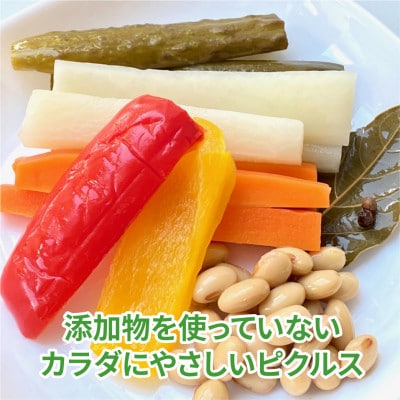三河野菜の葵ピクルス130g1パック