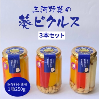 三河野菜の葵ピクルス「あいちの家康酢漬」250gびん3本