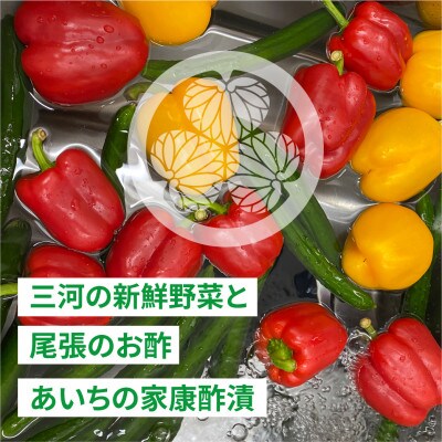 三河野菜の葵ピクルス「あいちの家康酢漬」250gびん2本