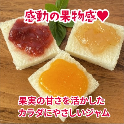 三河果実の葵ジャム140g3種セット