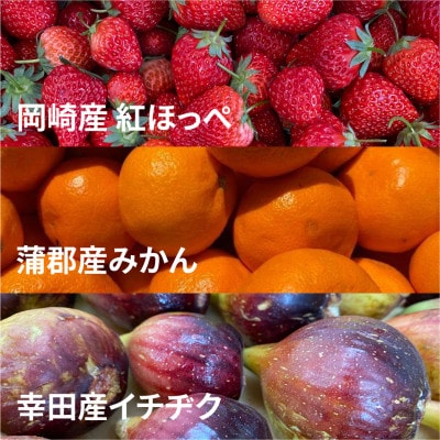 三河果実の葵ジャム140g3種セット