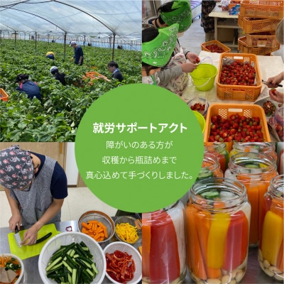 三河果実の葵ジャム140g3種セット