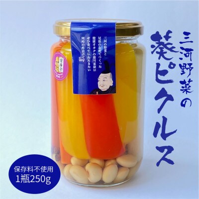 三河野菜の葵ピクルス「あいちの家康酢漬」250g
