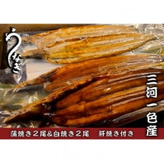 大(3P～4P)三河一色うなぎ蒲焼き2尾白焼き2尾 肝焼き付き