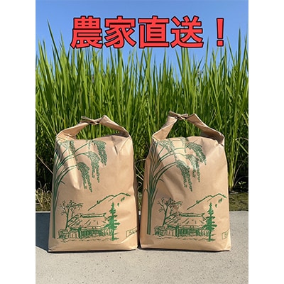 【毎月定期便】10kg×3ヶ月　農家直送!低農薬コシヒカリ 全3回
