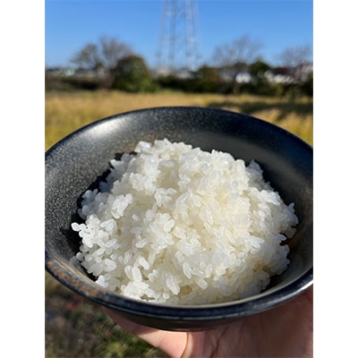 【毎月定期便】10kg×3ヶ月　農家直送!低農薬コシヒカリ 全3回