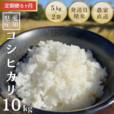 【毎月定期便】10kg(5kg×2袋)×6ヶ月 農家直送!低農薬コシヒカリ全6回