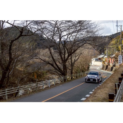 ラリージャパン【額田SS 日近の里観戦券/大人2名/マイカー乗入(乗用車)形埜小学校駐車】