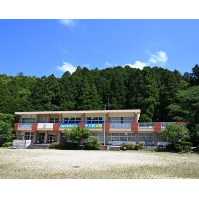 ラリージャパン【額田SS　千万町楽校観戦券/大人2名(P&R)くらがり渓谷駐車場発】