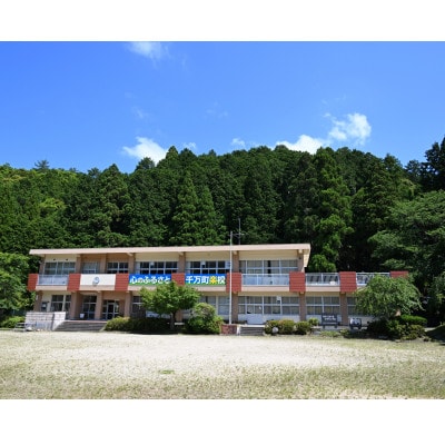 ラリージャパン【額田SS　千万町楽校観戦券/大人2名+子ども1名(P&R)くらがり渓谷駐車場発】