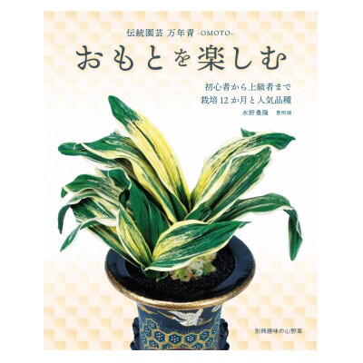 おもと講座と植え替え体験 徳川家康公の運気を上げた縁起物!【万年青プレゼント!】