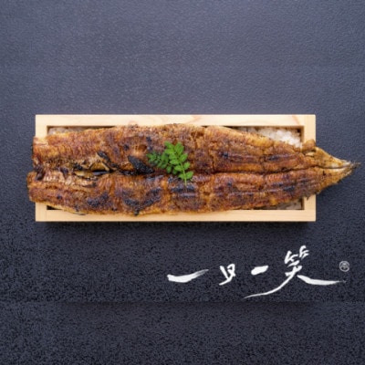 愛知県　名物いっぽん鰻2名様　お食事券