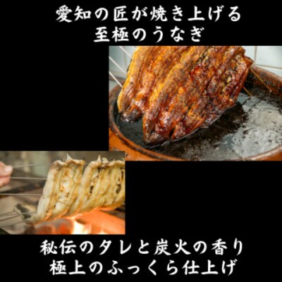 愛知県産大うなぎ蒲焼660g地酒冷酒セット