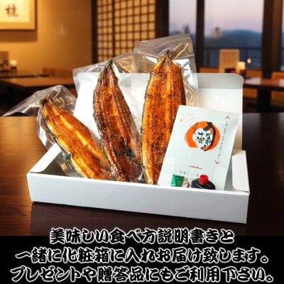 炭火手焼き☆三河一色産うなぎ蒲焼　2尾　うなぎ十楽