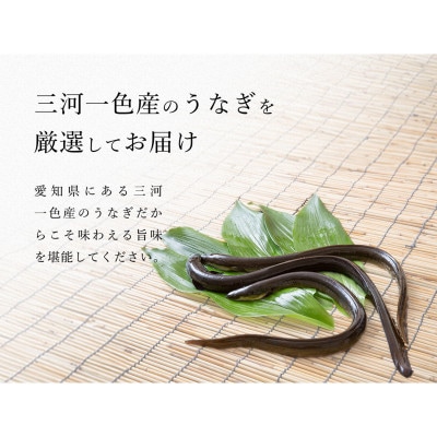 炭火手焼き☆三河一色産うなぎ蒲焼　3尾　うなぎ十楽