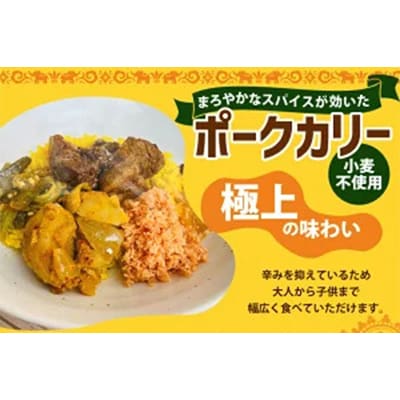 本格スリランカ ポークカリーセット 愛知県岡崎市産 ジャスミンライス付き 1食